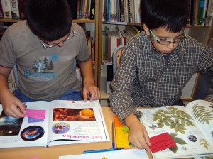 Cercant respostes al llibres de coneixements