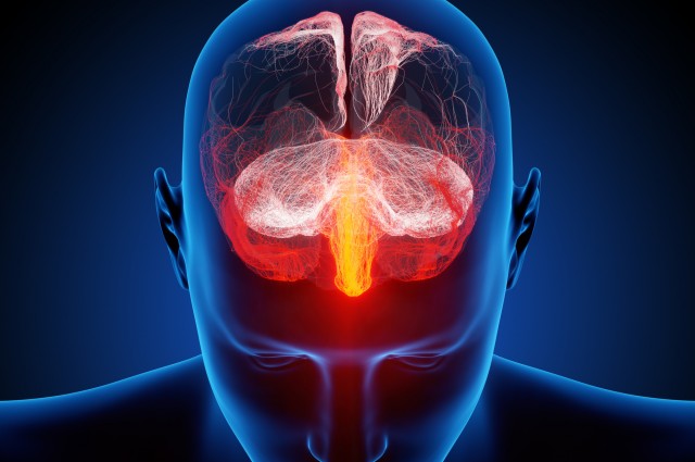 160317 cervell i emocions_2